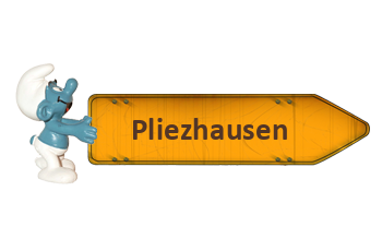 Pflegestützpunkte in Pliezhausen