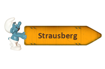 Pflegestützpunkte in Strausberg